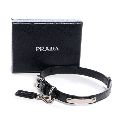 prada pet collar|prada dog card holder.